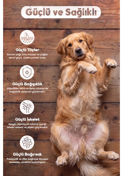 Petissimo Gourmet Gerçek Kuzu Etli Ve Esmer Pirinçli Premium Yetişkin Köpek Maması 2,5 Kg - Düşük Tahıllı