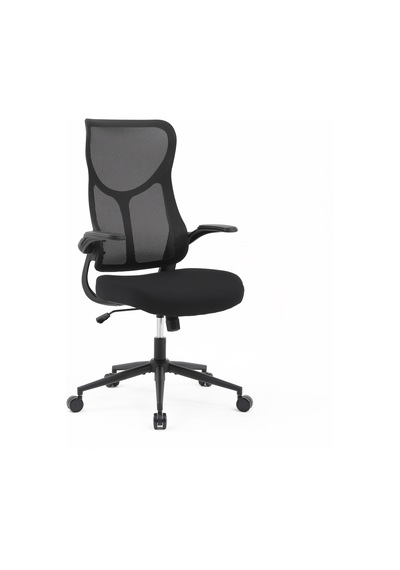 Techno Rest X Ergonomik File Sırtlı Ofis Çalışma Koltuğu Siyah Siyah
