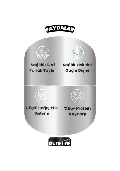 Purelife Plus 12'li Kuzulu Yetişkin Köpek Konserve Chunk Parça Etli Yaş Mama 400 G
