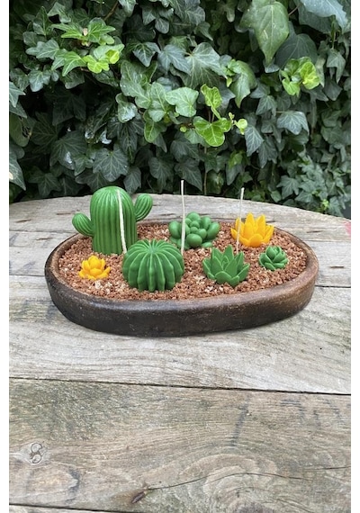 Rufus Concept Saguaro Kaktüs Mum Kalıbı Silikon Çok Renkli
