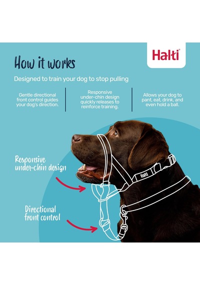 Headcollar, Siyah, Boyut 1