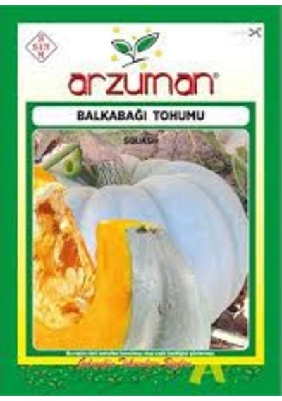 1 Paket Tohum Nadir İri Bal Kabağı Kabak Tohum