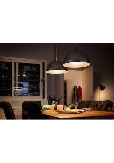 Philips Led Classic120w G120 E27 Sarı Işık Glob Ww Dim Edilmez Am Çok Renkli