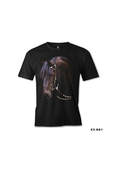 At 2 Siyah Erkek Tshirt
