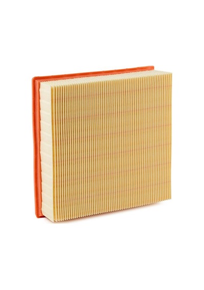 Mann Filter Hava Filtresi C22117
