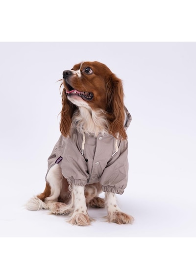 Pettrend Vizon Mont Köpek Mont Köpek Kıyafeti Köpek Yağmurluğu