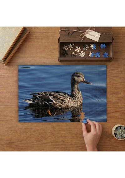 Suda Yaban Ördeği Tasarımı 240 Parça Ahşap Puzzle Ahşap Kutuda Mpy40172