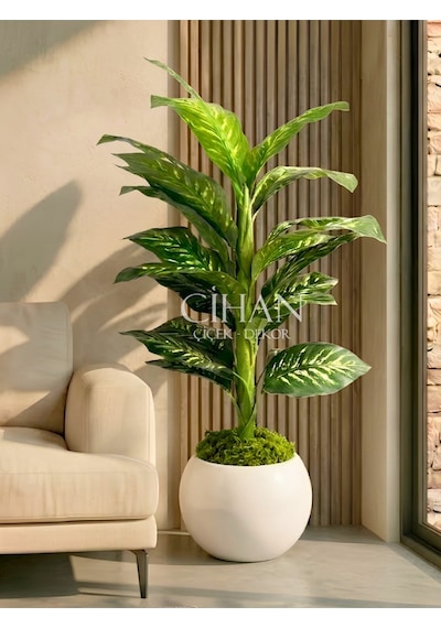 Yapay Difenbahya Ağacı 120 Cm 27x33 Cm Beyaz Küre Saksı