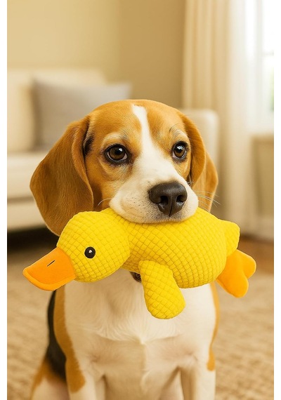 Köpek Oyuncağı Ördek Şekilli Peluş Sesli Ve Hışırtılı Dayanıklı Çiğneme Ve Isırma Oyuncağı Anti Stres Yumuşak Peluş Köpek Eğitim Ve Oyun Oyuncağı Sarı