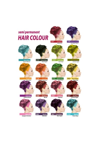 Color Su Bazlı Saç Boyası 250 Ml Mürdüm