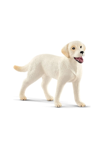 Schleich Köpek Eğitim Seti 42536