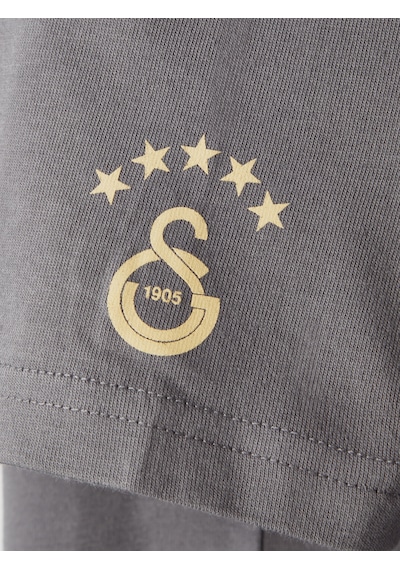 Gsstore Galatasaray Çocuk T-shirt C252097 Antrasit