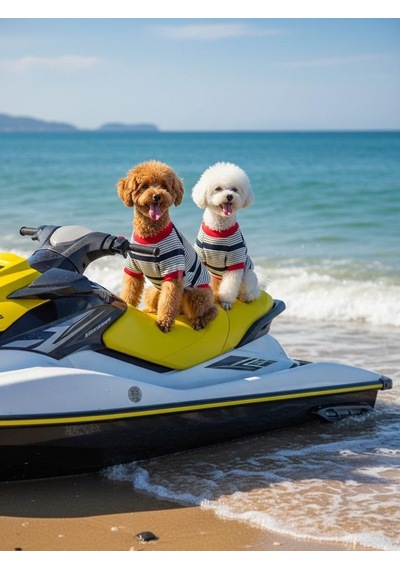 Yacht Club Marin Çizgili Köpek Tişörtü Lacivert Kırmızı Yazlık Köpek Kıyafeti Küçük Irklar Yacht Club Marin Çizgili Köpek Tişörtü Lacivert Kırmızı Yazlık Köpek Kıyafeti Küçük Irklar