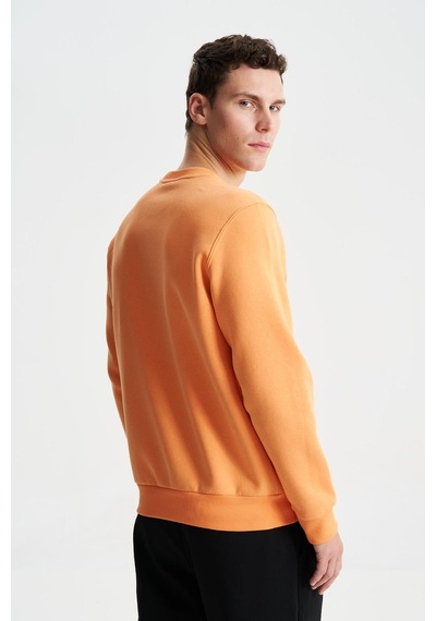 AR-MA Arma Şık Erkek Regular Fit 3 İplik Şardonlu Bisiklet Yaka Sweatshirt 001