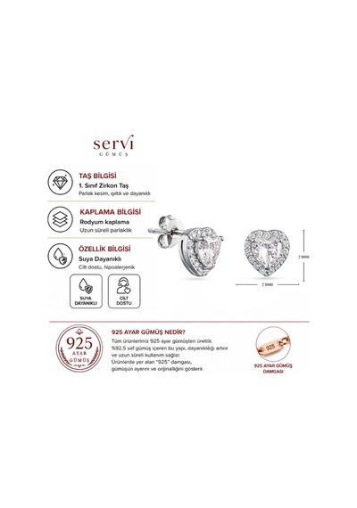 Servi 925 Ayar Gümüş Heart Elegance Küpe-18
