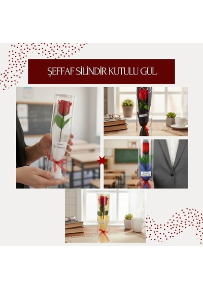 Premium Şeffaf Silindir Kutulu Gül - Öğretmenler Günü Hediyesi Sunum Sürpriz Vitrin Çok Renkli