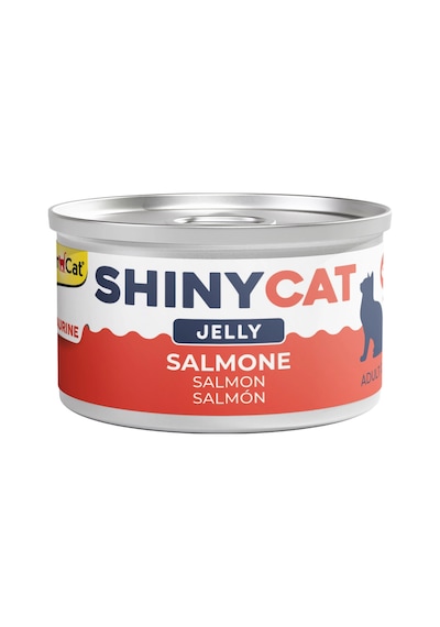 Gimcat Shiny Cat Jöle İçersinde Somon Balıklı Yetişkin Kedi Konservesi 24 x 70 G