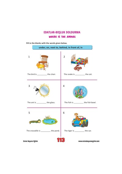 Çocuklar İçin İngilizce Eğitim Seti 3 Kitap + 15 Saat Anlatım