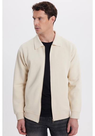 Tudors Unisex Relax Fit Rahat Kesim Pamuklu İç Polarlı Fermuarlı Bej Polo Yaka Flato Cepli Sweatshirt Hırka-41998 Bej