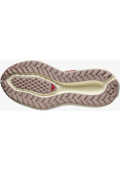 Salomon Aero Glide 3 Grvl Kadın Koşu Ayakkabısı-7196 Çok Renkli