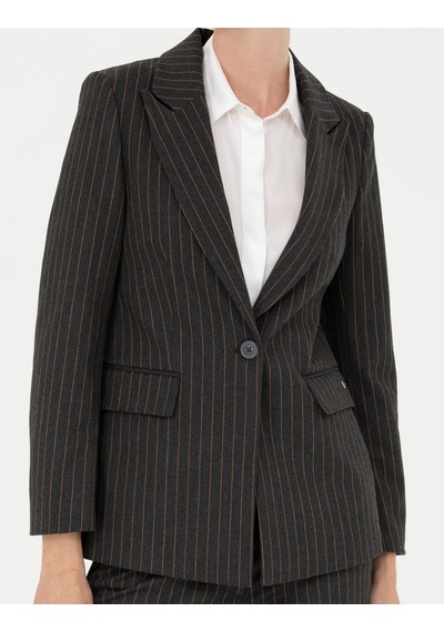 Pierre Cardin Kadın Antrasit Ceket 50273080-vr006 Antrasit