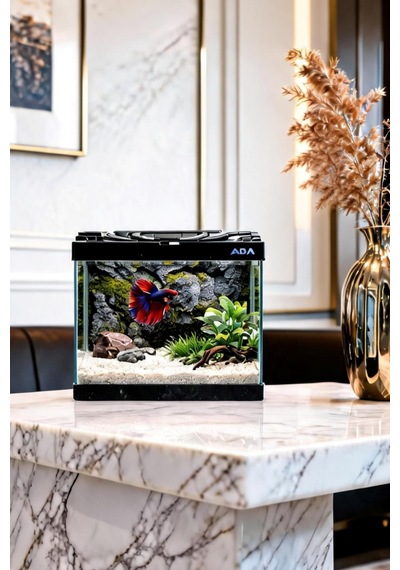 Betta Balığı Akvaryumu Siyah 23x12x21 Cm 4 Litre Arka Plan Hediyeli