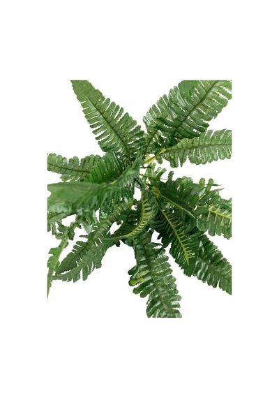 Yapay Çiçek Cycas Aşk Merdiveni Eğrelti Otu Sıkas Bitkisi 7 Dal
