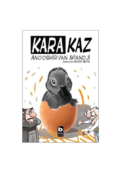Kara Kaz