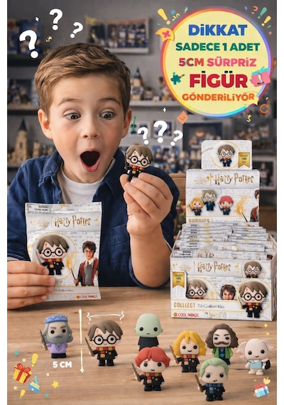 Harry Potter Wizard Buddies 3d Sürpriz Figür Paketi Lisanslı Koleksiyon Figür Oyuncak 5 Cm - 1 Adet