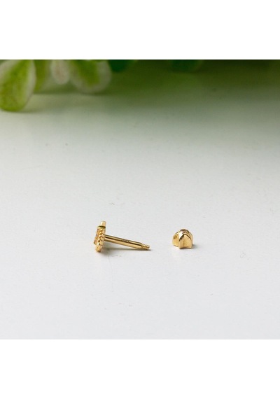 Bilezikci Amazon 14 Ayar Altın Tragus Küpe Kphsy14k22482 Sarı
