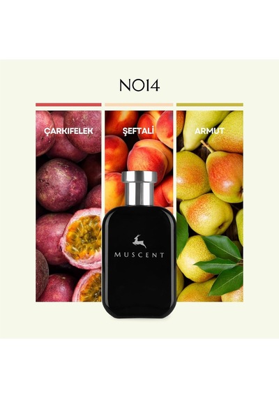 N014 Kirkey 50 Ml. Çok Renkli