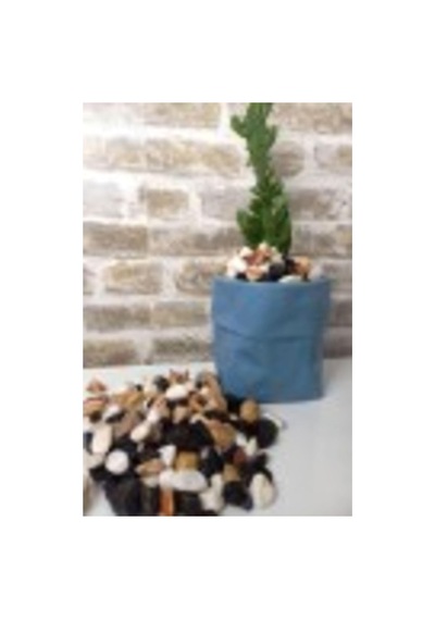 Asenya Renkli Çakıl Taşı 2 Kg 1-2 Cm Saksı Dibi Teraryum Saksı Süs Vazo Dibi Dekoratif Dolomit Taş Diğer