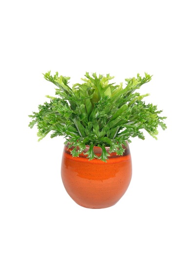 Charlotte Turuncu Seramik Saksı 19*16cm