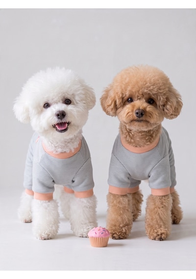 Sweet Cupcake Köpek Tulumu Gri Pötikare Desenli Pembe Ribanalı Penye Köpek Kıyafeti