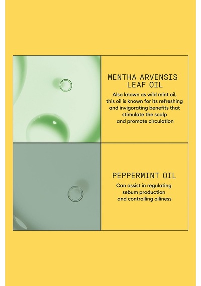Nioxin System 1 Saç Kremi - İşlem Görmemiş Hafif İnce Saçlar İçin Kalınlaştırıcı Bakım 1000ml