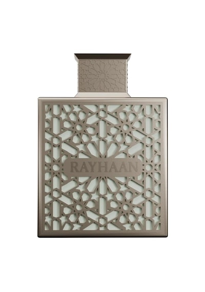 Rayhaan Terra Edp 100 Ml Erkek Parfümü Oryantal