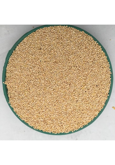 Ak Darı Muhabbet Kuşu Yemi 5 KG