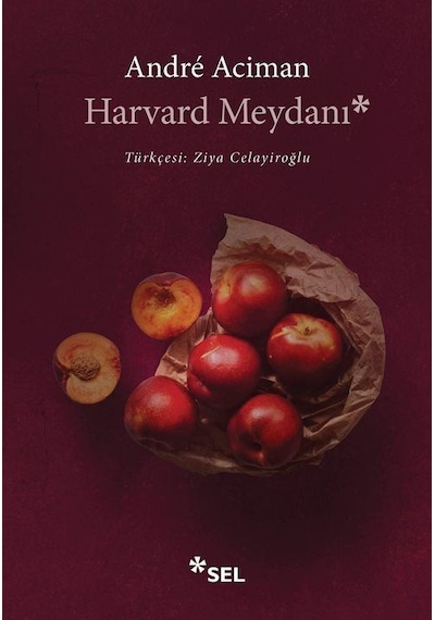 Harvard Meydanı / Andre Aciman