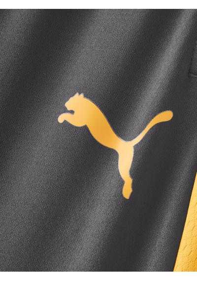 Gsstore Galatasaray Puma Çocuk Antrenman Eşofman Alt 78764906 Antrasit