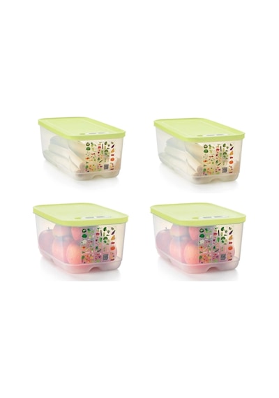 Sera Set. 2 Adet 4.4 Lt Ve 2 Adet 6.1 Lt Diğer