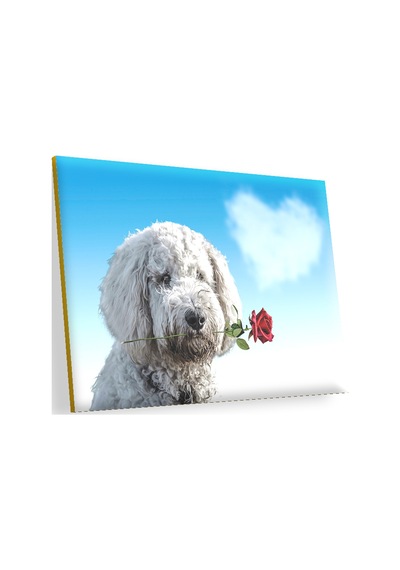 Cakasepetim Sevimli Köpek Gül Kalp Aşk Ahşap Mdf Tablo