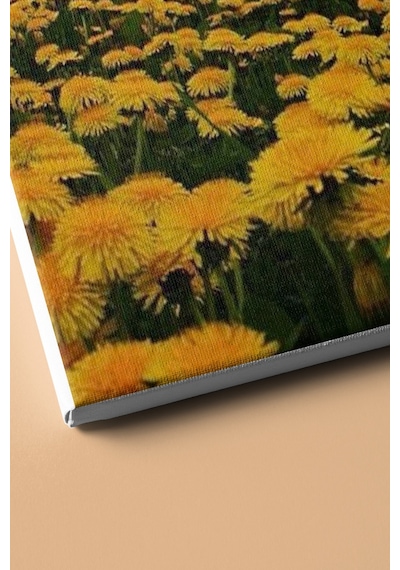 Webstyle Sayılarla Boyama Seti Kasnaklı Karahindiba Bahçesi 50 X 65 Cm