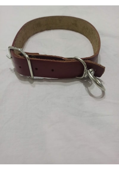 Büyük Irk Deri Köpek Tasması