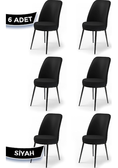 Canisa Concept Dexa Serisi Siyah Renk 6 Adet Sandalye, Renk Siyah, Ayaklar Siyah Siyah