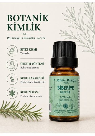 Biberiye Uçucu Yağı, %100 Saf, 10ml 10 ML