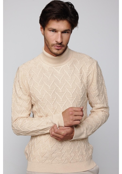 Tudors Slim Fit Dar Kesim Tam Balıkçı Yaka Desenli Bej Erkek Triko Kazak-29489 Bej