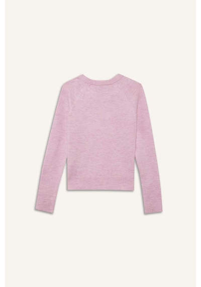 Defacto Regular Fit Bisiklet Yaka Basic Düz Soft Touch Yumuşak Triko Kazak D8678ax26sppn354 Pembe-pn354