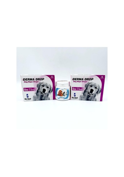 11-20kg Köpek Ensedamla 2 Kutu + Supervet Vitamin Tablet
