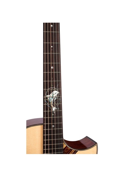 Trumon Dolphin 1955tf-m1pro Elektro Akustik Gitar