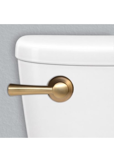 Victoria Tuvalet Tankı Kolu Fırçalanmış Pirinç 11 44 X 2 75 X 2 44 Çok Renkli